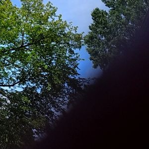 Women's clothing, casual wear including Michael Kors and ect , size 14 large, ex